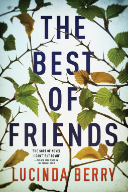 The Best of Friends Lucinda Berry