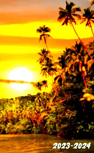 Rainforest at Sunset, Brazil Vanessa Concord