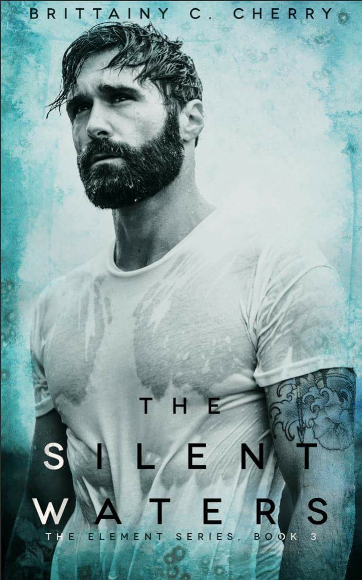 The Silent Waters Brittainy C. Cherry