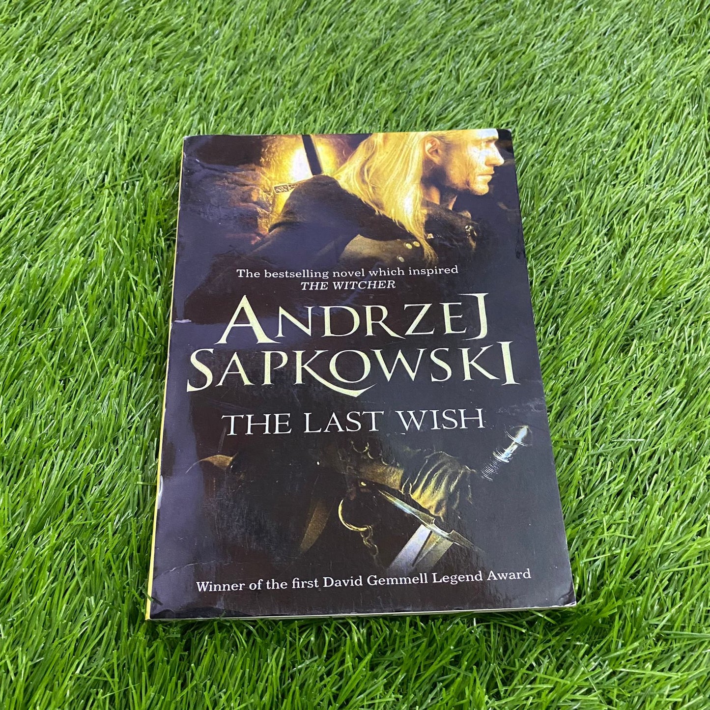 the last wish andrzej sapkowski
