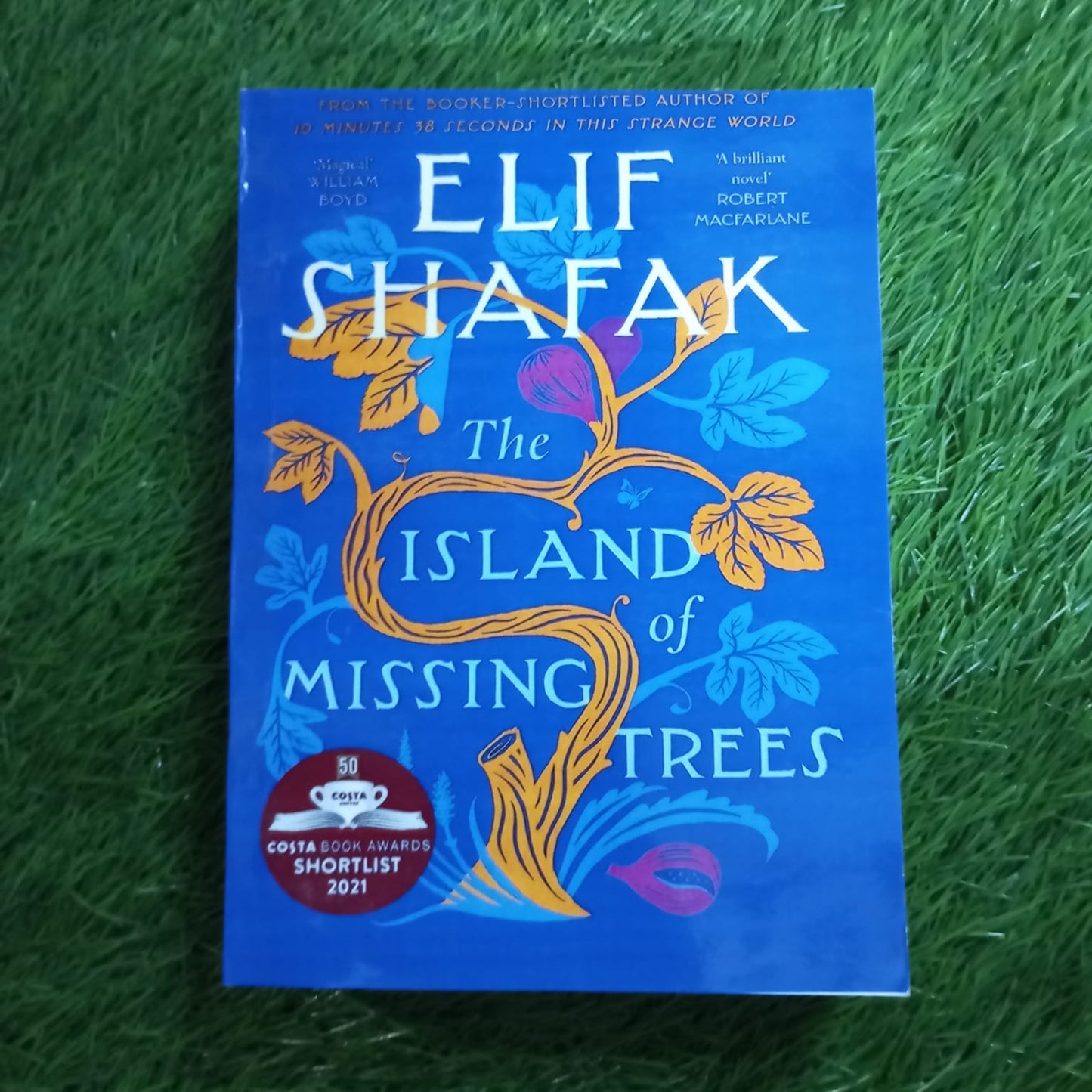 the island missing trees