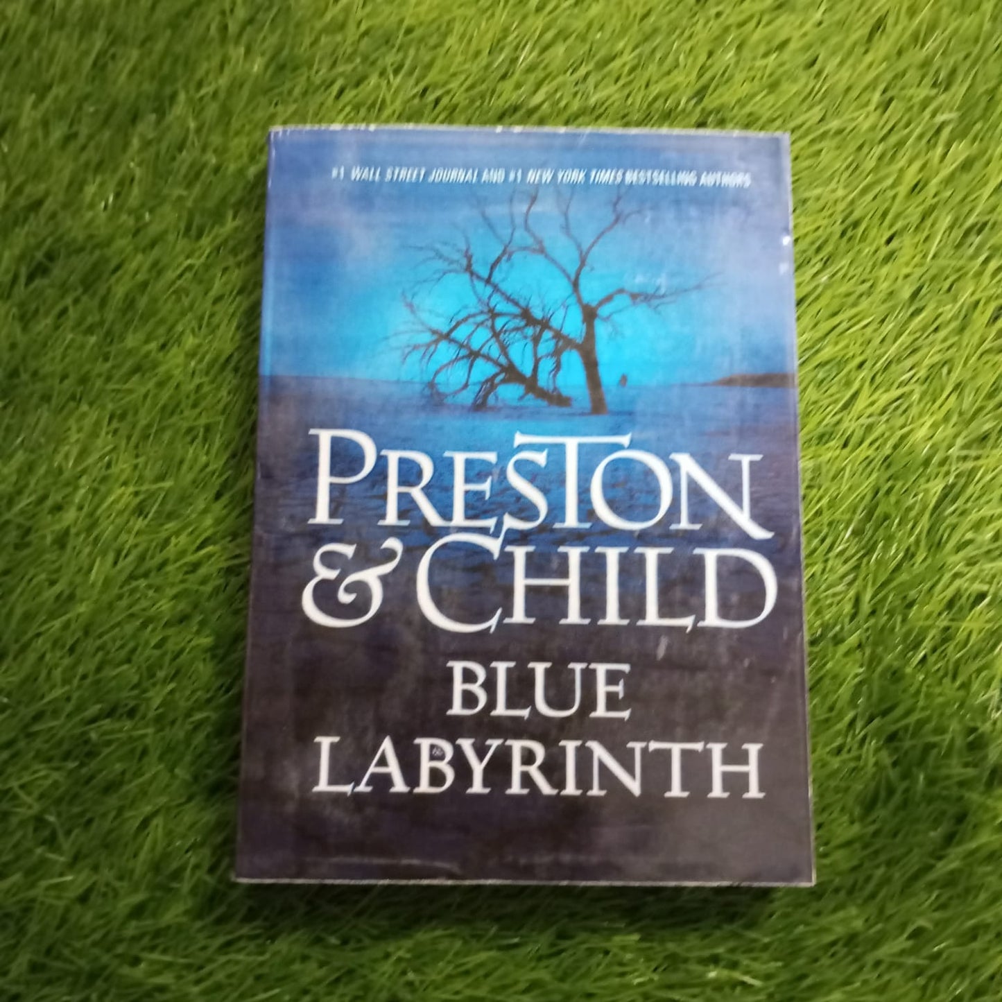 preston child