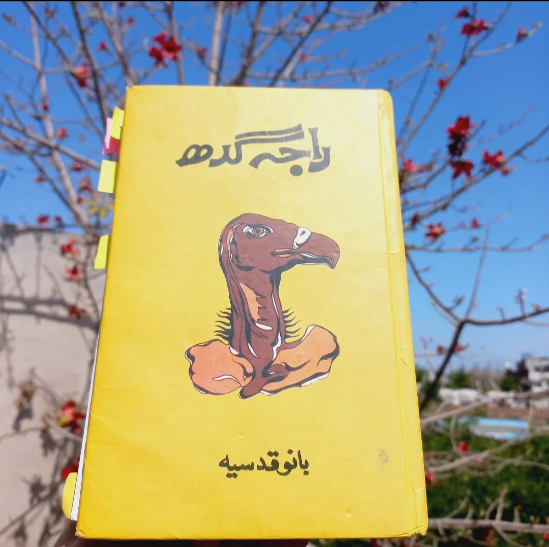 Raja Gidh by Bano Qudsia urdu (use)