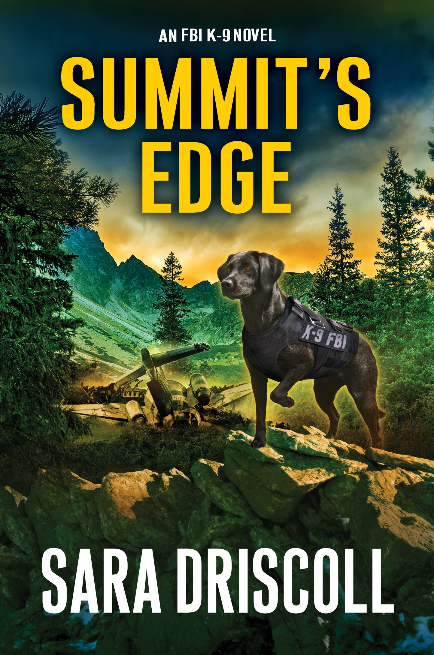 Summit’s Edge  Sara Driscoll