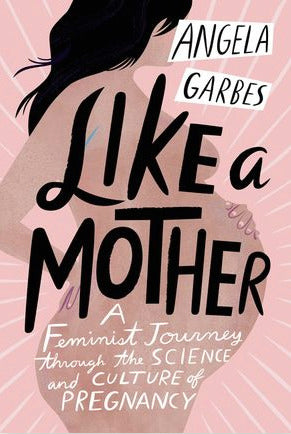 Like a Mother Angela Garbes