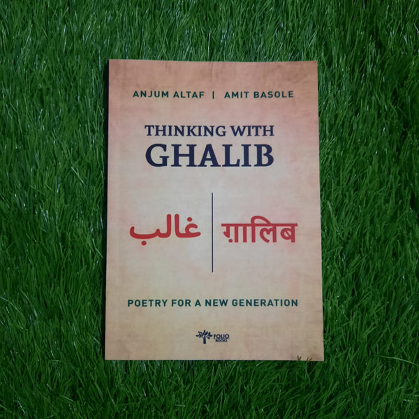 thinking with ghalib