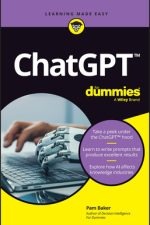 CHAT GPT FOR DUMMIES