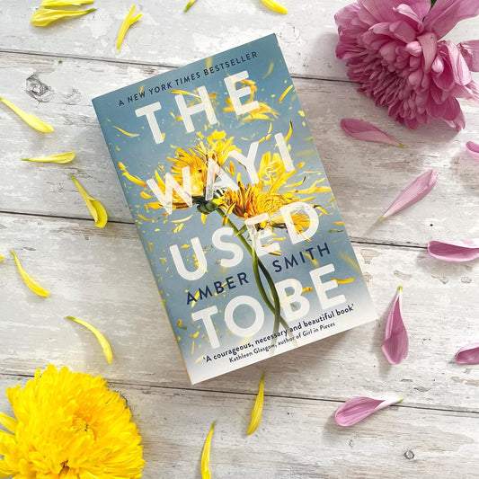 The Way I Used to Be by Amber Smith