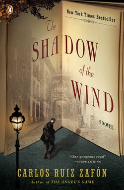 The Shadow of the Wind (The Cemetery of Forgotten Books, #1