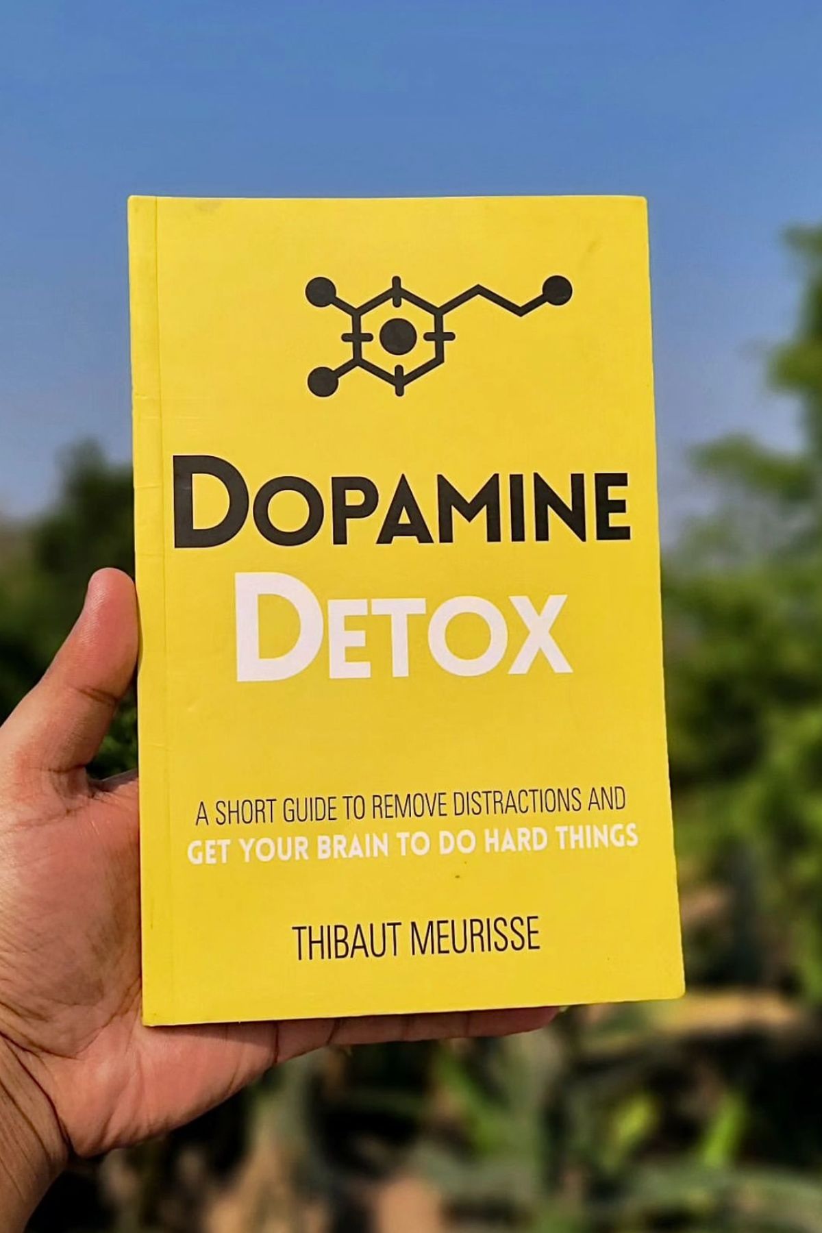 Dopamine Detox by Thibuat Meurisse