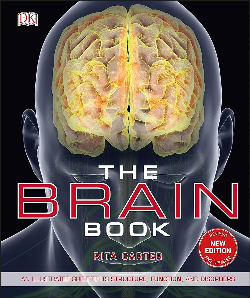 THE HUMAN BRAIN