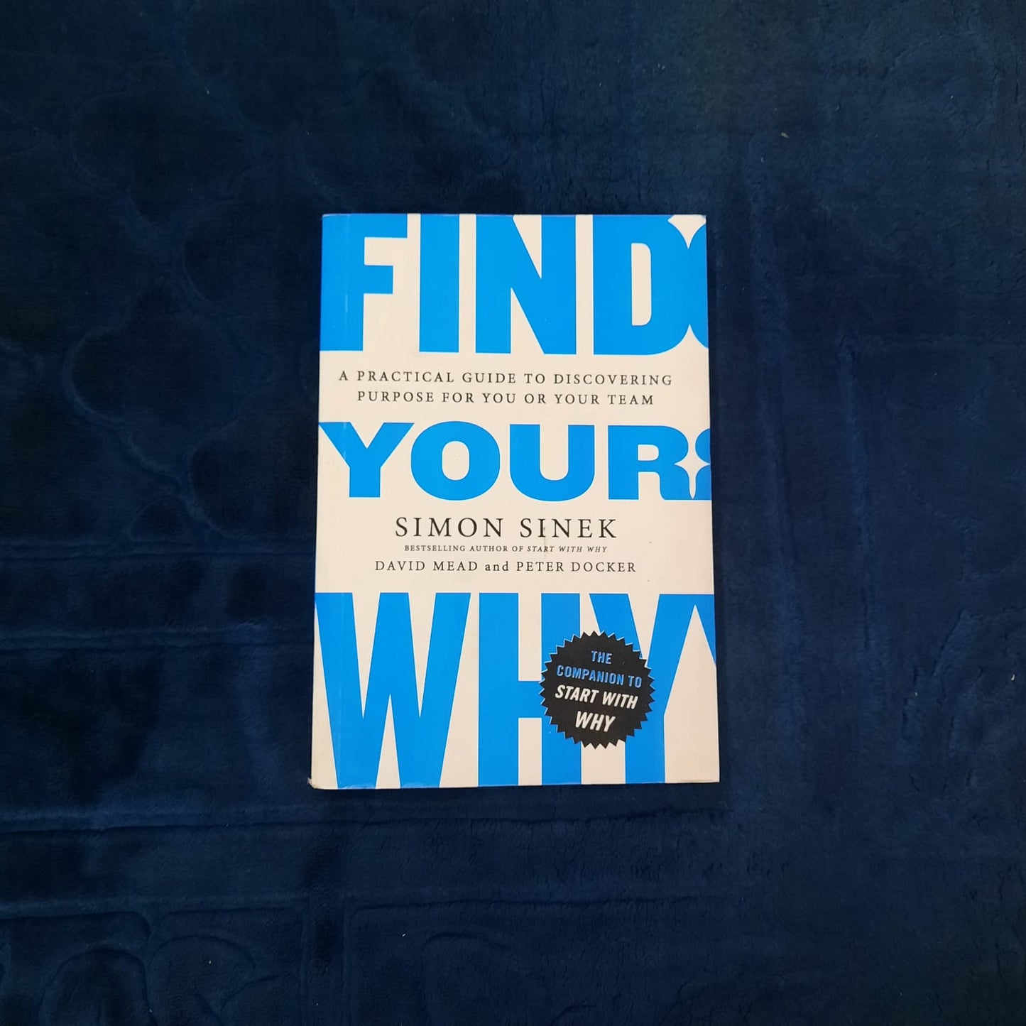 Find Your Why by David Mead