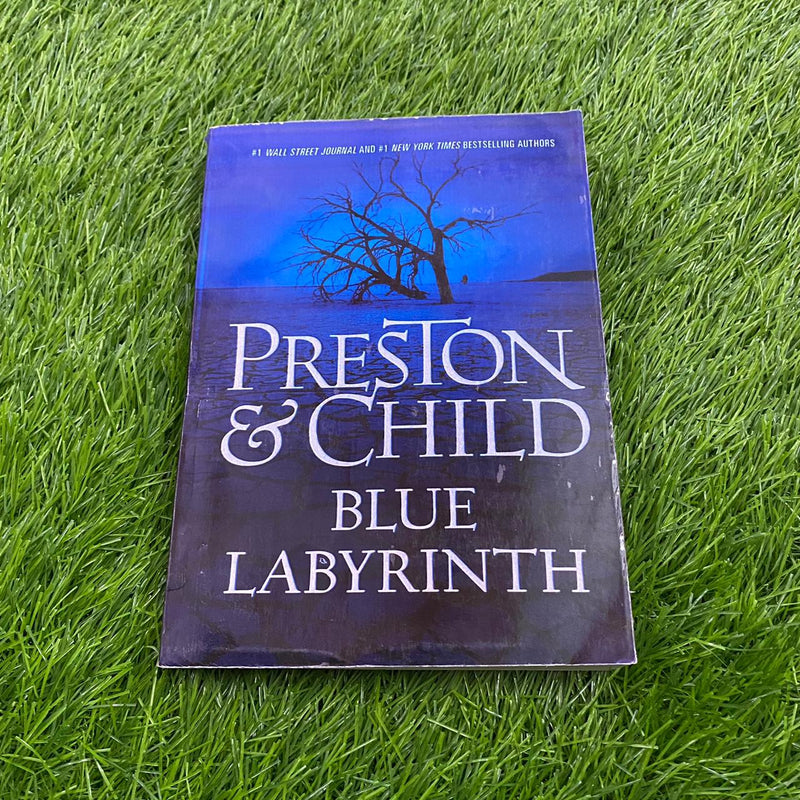 PRESTON & CHILD BLUE LABTRINTH