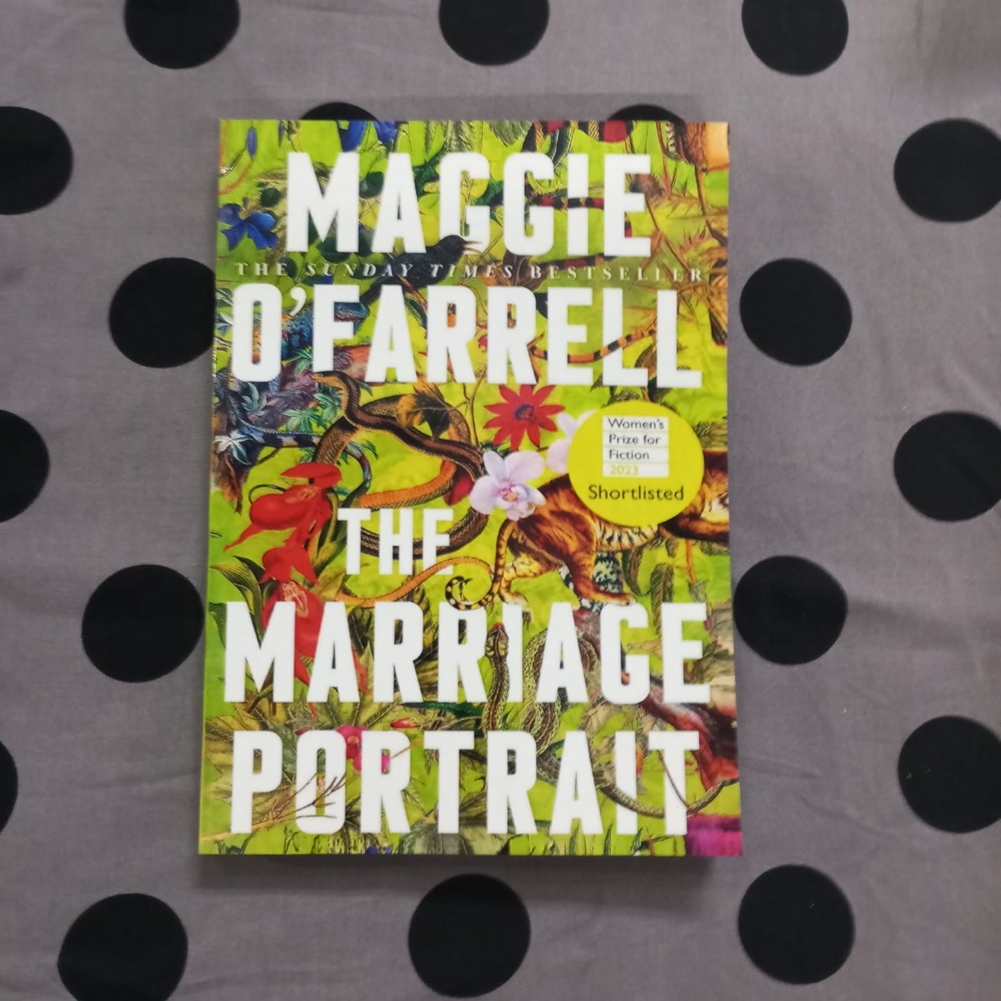 THE MARRIAGE PORTRAIT MAGGIE O FARRELL
