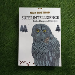 superintelligence